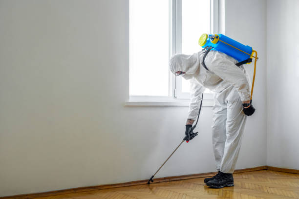 Best Best Pest Control Companies  in Roanoke Rapids, NC