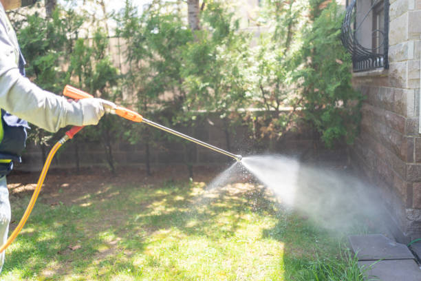 Trusted Roanoke Rapids, NC Pest Control Experts