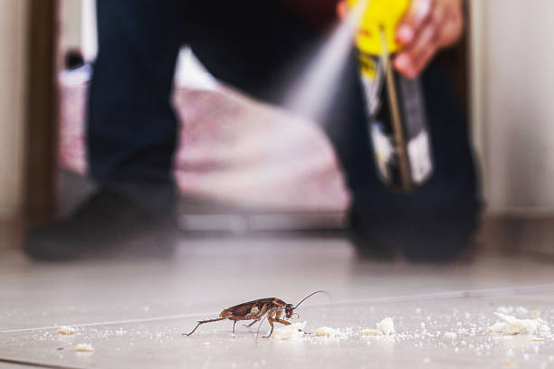 Pest Control for Restaurants in Roanoke Rapids, NC